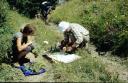 Young and not so young scientist collecting plants in Borjomi-Kharagauli NP
